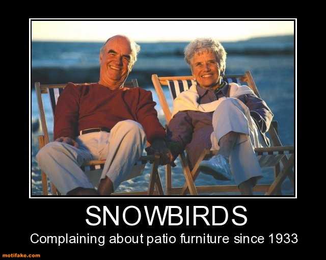 snowbirds-complaining-about-patio-furniture-since-1933-birds-demotivational-posters-1394054180.jpg